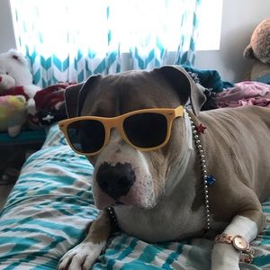 Meet your Posher, Kacie